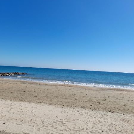 Joli T2 Rdc, Bord De Mer , Piscine , Aresquiers Frontignan Plage 34 Dış mekan fotoğraf